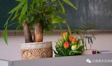 铿锵高三路，风雨见彩虹