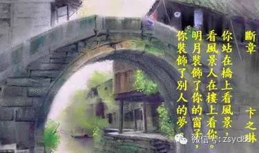 边志林：白海螺贝壳