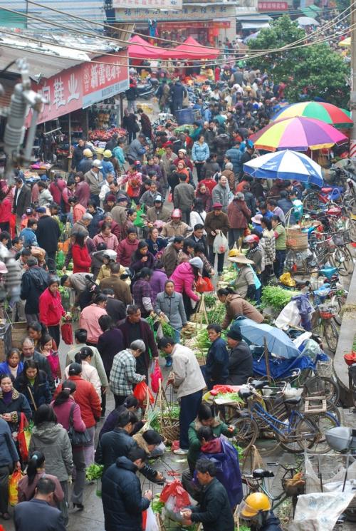 繁忙的蔬菜市场组成