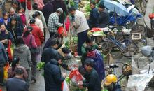 热闹的菜市场作文