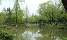 保护大自然的优美句子