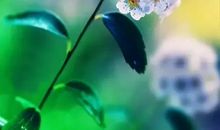 找到5%能改变你一生的朋友