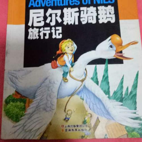 尼尔斯鹅之旅的主要内容