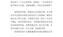 桃花心木主要内容