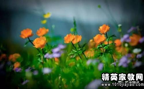 关于耐心的美丽句子