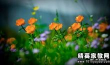 关于耐心的优美句子