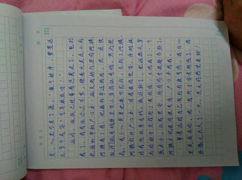 小学叙事作文评论