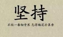 你只是输给了自己的不妥协