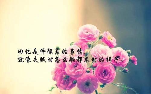 简短的句子描述生活