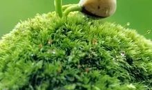 吴淡如：所谓的成熟，就是不抱怨