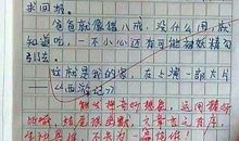 精彩的作文评语