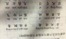 形容一样的成语