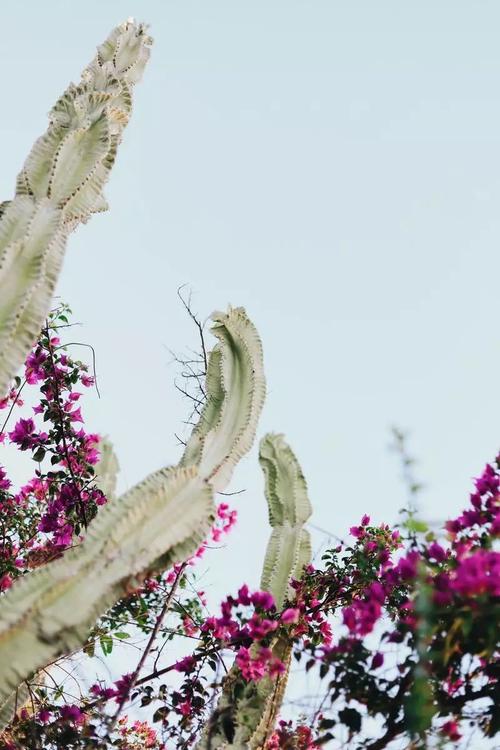 哭泣时不要做任何决定