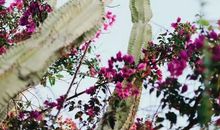 不要在流眼泪的时候做任何决定