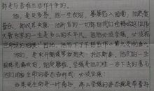 海蒂读后感800字