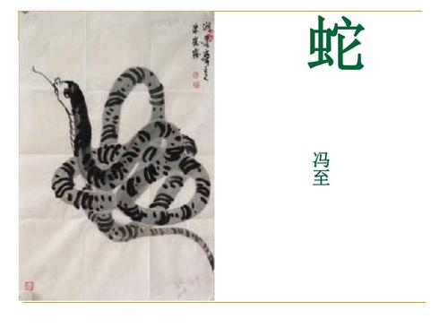 冯智：蛇