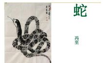 冯至：蛇