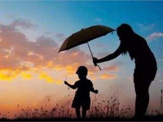 我渴望自由800字