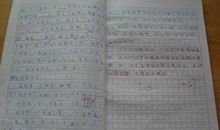 小学低年级作文评语