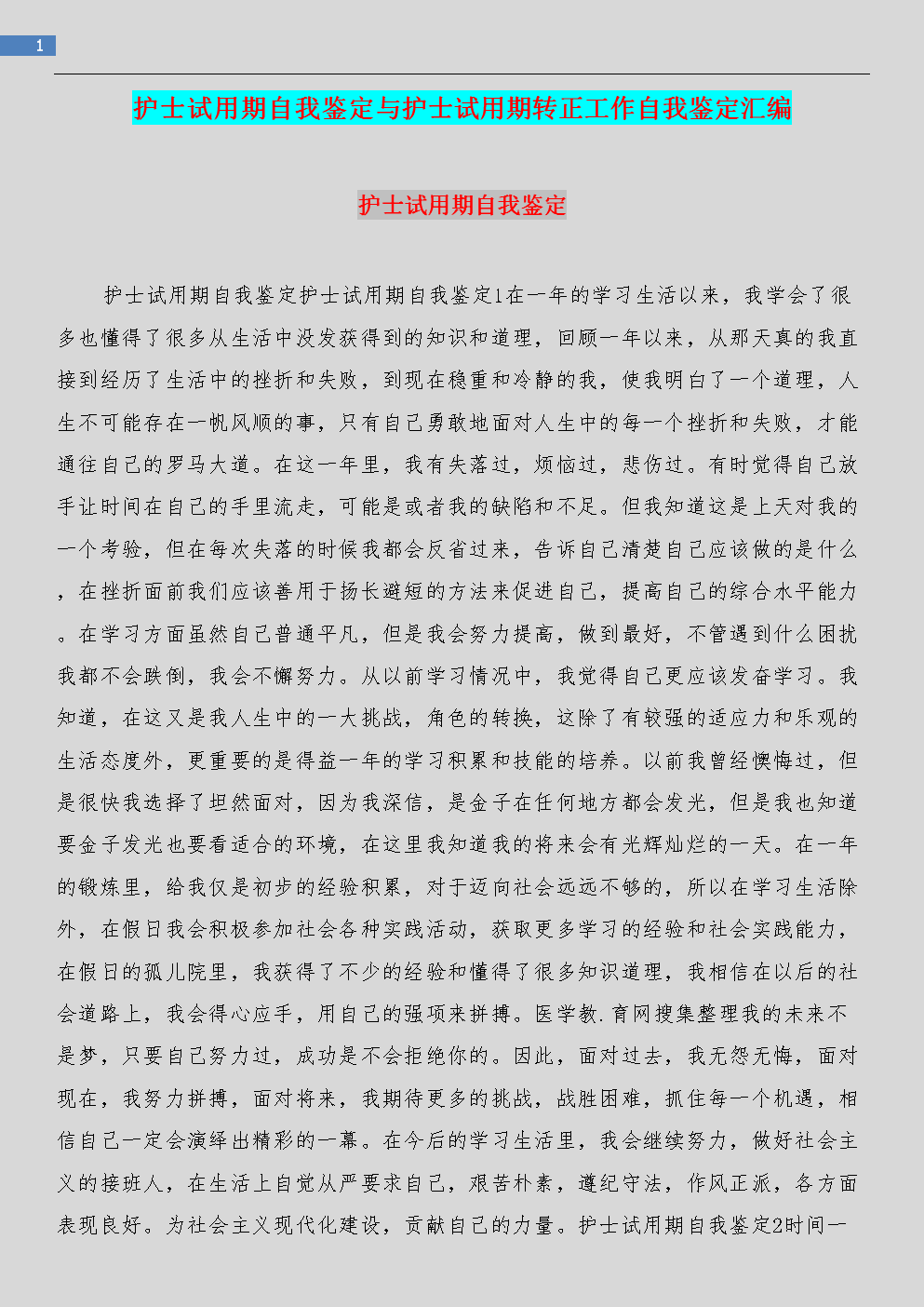 试用期护士的自我认同