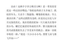 渴望得到自由作文