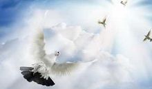 描述理想的句子