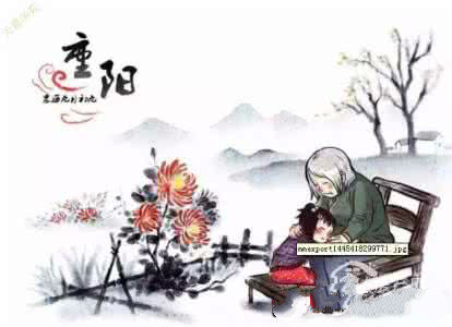 重阳节促销口号