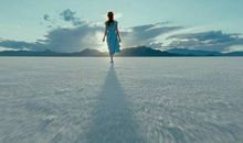 刘亮程：树会记住许多事