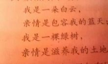 关于真情的句子