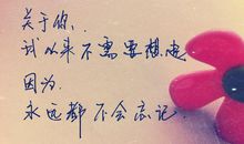 关于珍惜友谊的句子