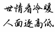 直指人心的优美句子