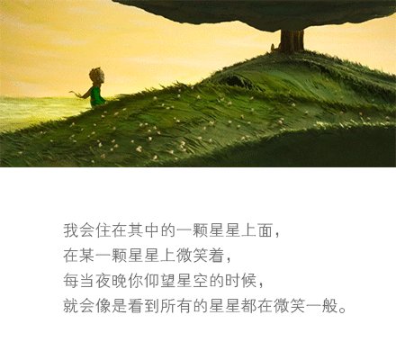 在“小王子”中的漂亮句子