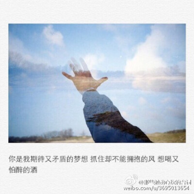 经典语录：谢谢您的微笑，我曾经惊慌失措