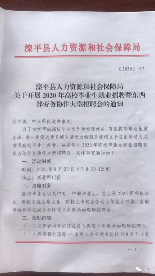 大学毕业生自我摘要选择的样本论文