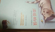 温暖的弦经典语句