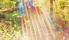 没有人必须沉重地活着