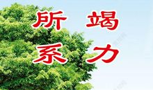 敬老院宣传标语