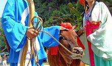 刘亮程：卖掉的老牛