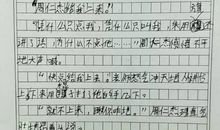 写人作文评语小学生版