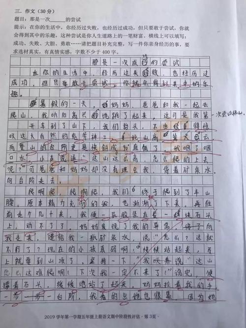 纠正低年级学生的作文评论
