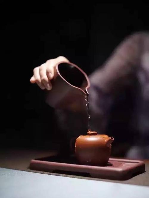 普卡里西耶的名言