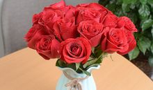 情人节玫瑰花语