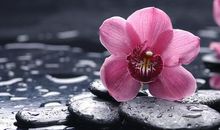 人到中年须具备的修养