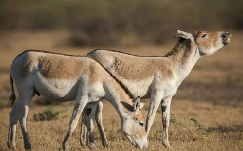 刘良成：扔掉的路