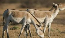 刘亮程：扔掉的路