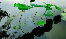 觉悟，生命中最重要的