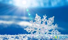 描写下雪时心情的优美句子