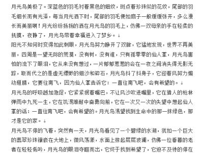 高中论文评论集