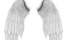 每个人都有一对翅膀