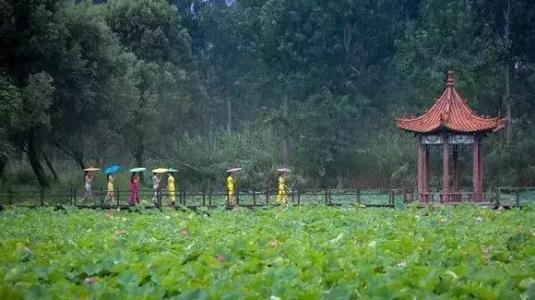 温逸多:《红莲的灵魂》